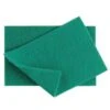 Green Scourers - Pack Of 10 -Storage Equipment Store AIG3621241