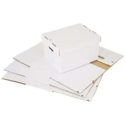 Plain Document Storage Box