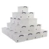 42 L Clear Really Useful Box Pallet Buy Of 36 -Storage Equipment Store AIG5392946